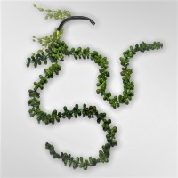 Аморант искусственный